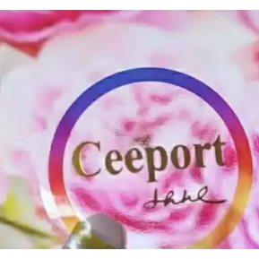 【花露娜】能量貼紙 ceeport 彩虹貼紙 清理貼紙 零極限 3*3cm