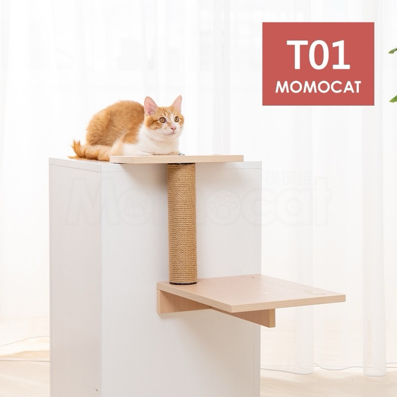 二手 【 T01一階櫃體天梯】貓跳板 貓跳台 貓抓柱 貓樓梯