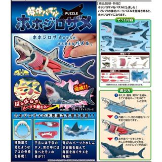 【L$J玩具】全新現貨 MH MEGAHOUSE 自然科學系列 鯊魚 趣味拼圖 解體拼圖
