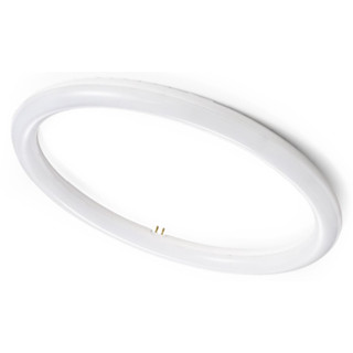 LED T8 T9環形 圓形 玻璃 燈管 取代 傳統 圓燈管 MARCH MH 白光 黃光 12W 18W 22W 環型