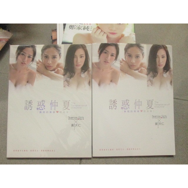 影視娛樂~ 誘惑仲夏 - 無瑕的青春 寫真集 (附2光碟)  近全新 ~ 可合併運費