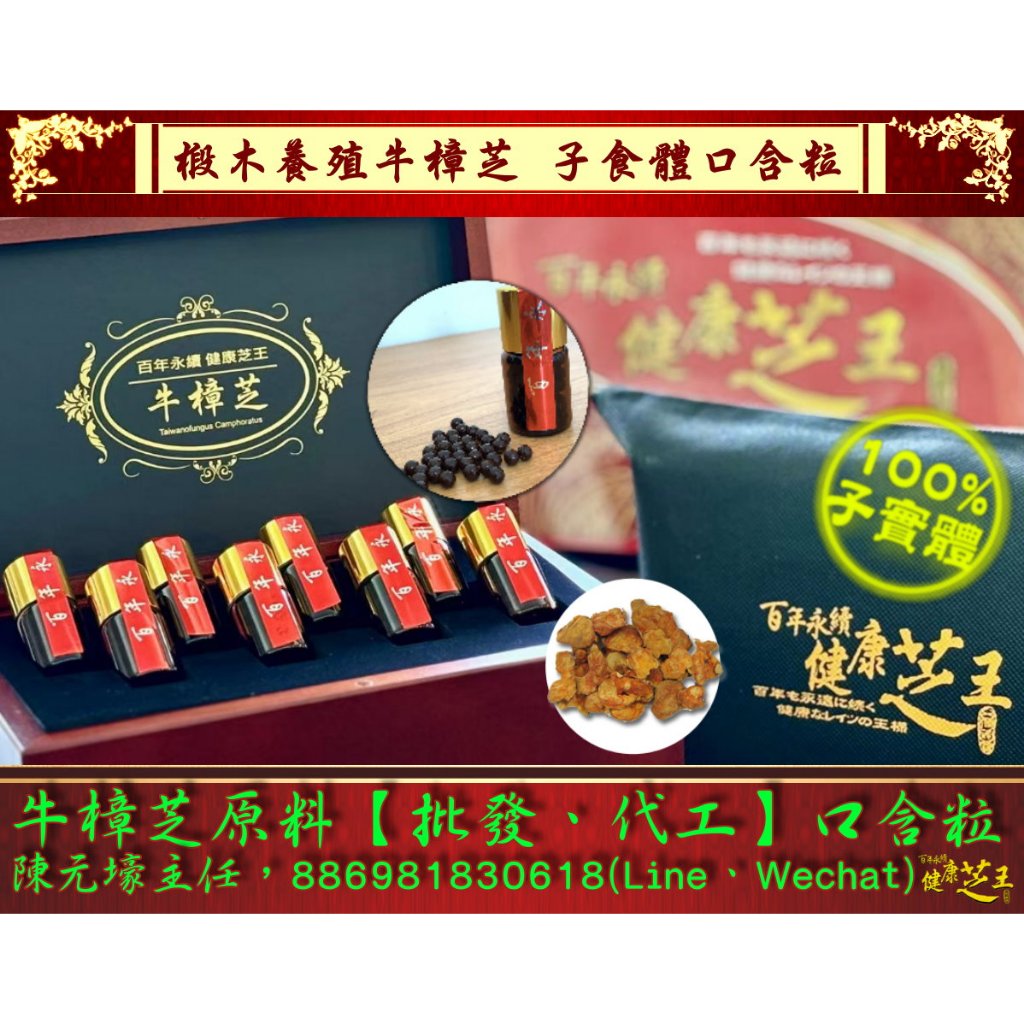 【百年永續健康芝王】椴木養殖牛樟芝(菇)子實體口含粒 (32g / 盒)私訊享優惠價