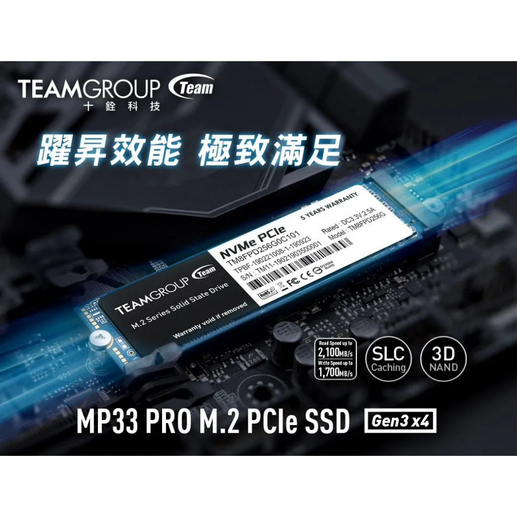 TEAM 十銓 MP33 PRO 1TB M.2 PCIe SSD 固態硬碟 五年保固時 二手良品升級換下 無外盒極新品