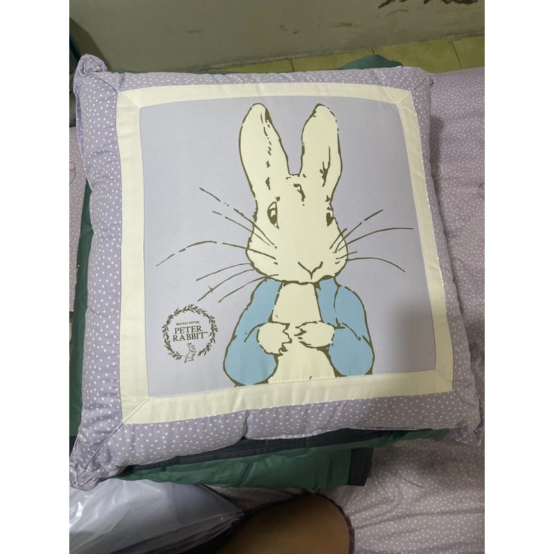 peter rabbit全新抱枕一個、枕頭套