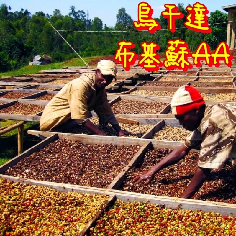 烏干達/布基蘇AA【中焙（偏深）】【半磅/1磅裝】咖啡豆