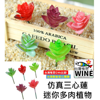 WINE臺灣惟恩 模擬三心蓮 迷你多肉植物 多肉植物 彩色模擬多肉 仿真植物 模擬多肉 多肉 植物