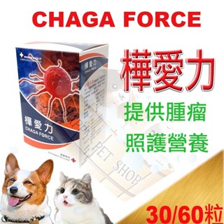 [現貨]健聖 CHAGA FORCE 樺愛力30顆/60顆 腫瘤照護 癌破錠/藻康留/瑞格敏/速藻醣可參考