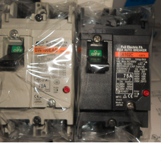 日本 FUJI 富士斷路器 BW100EAG 2P 60A 75A 100A 軌道/螺絲固定 25KA