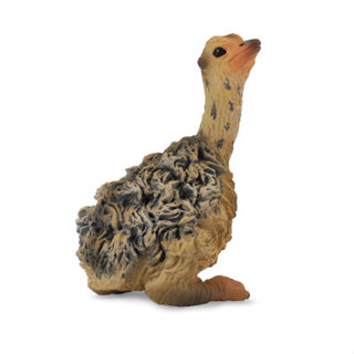 《 COLLECTA 》英國 Procon 動物模型 幼鴕鳥-坐【臺中宏富玩具】