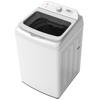 【TATUNG 大同】13KG FCS快洗淨變頻單槽直立式洗衣機 TAW-B130DCM 送基本安裝 免樓層費