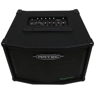 韓國 音箱大廠 Artec 民謠吉他 音箱 A100TS 100W Amp 立體聲雙輸入 可接耳機 MP3【樂器零件王】