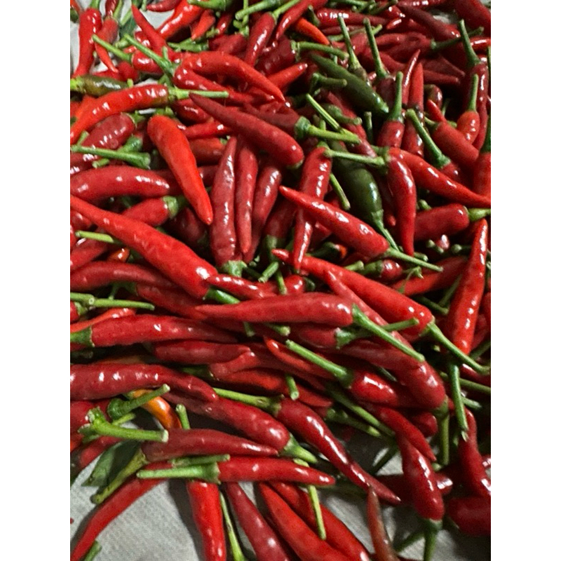 時價🌶️cabe rawit 朝天椒🔥朱雀🌶️紅｜綠朝天椒/辣椒/CHILI/600g 自產自銷 新鮮現採/一台斤