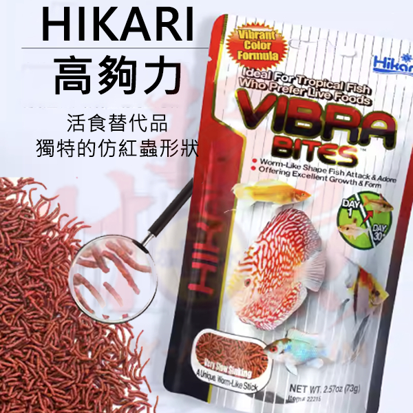 【招財魚】HIKARI 高夠力 熱帶魚蟲型飼料 人工赤蟲