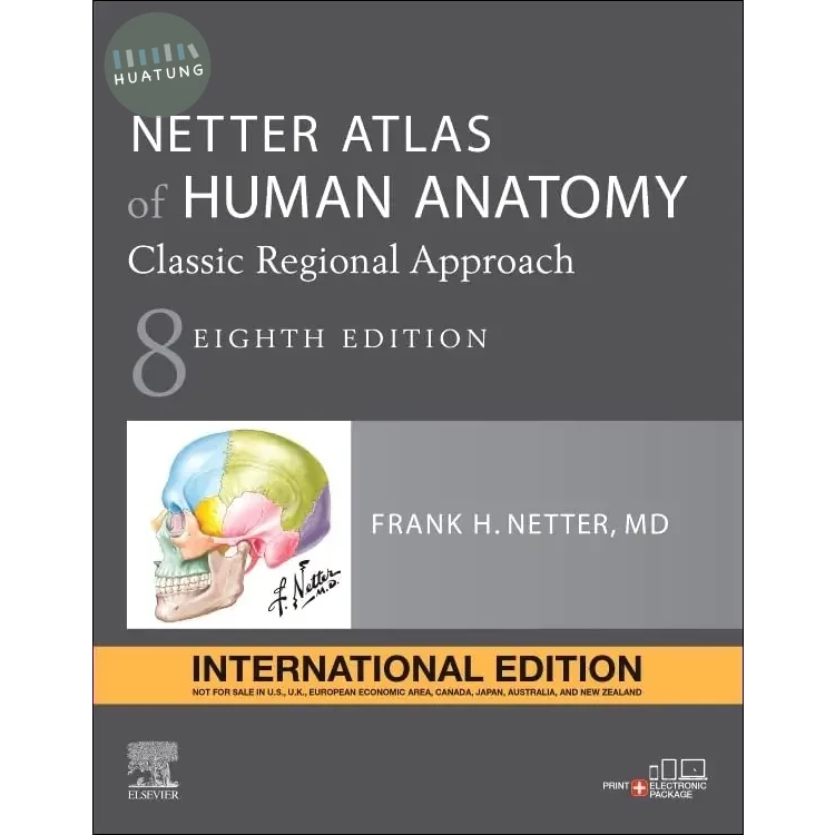 &lt;姆斯&gt;Netter Atlas of Human Anatomy: Classic Regional Approach (IE) 8/E Netter 9780323793742 &lt;華通書坊/姆斯&gt;