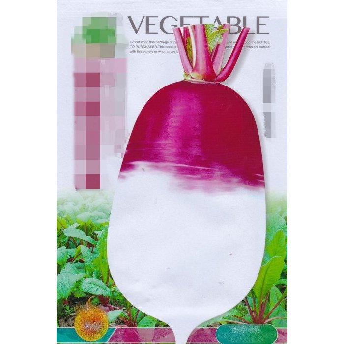【大包裝蔬菜種子L342】胭脂白玉蘿蔔~~耐寒、耐濕，約五分之二部分為淡紫紅色，入土肉質均為白色，口感質細，微辣。