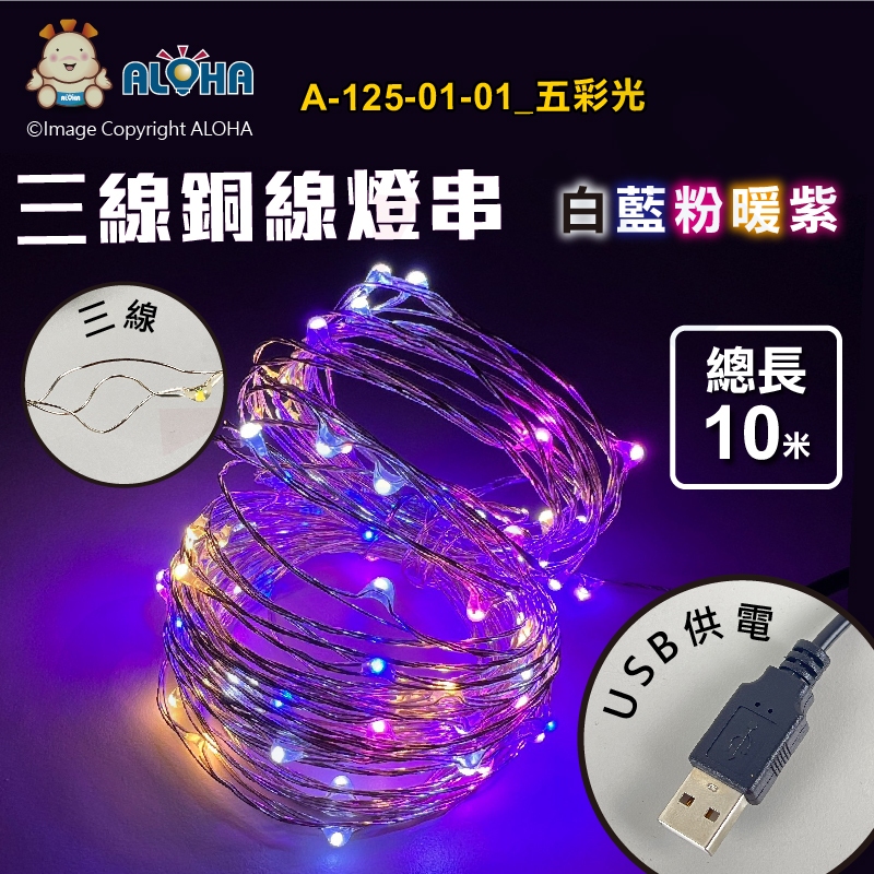 阿囉哈LED總匯_A-125-01-01_USB-10米三線-五彩光銅線燈串