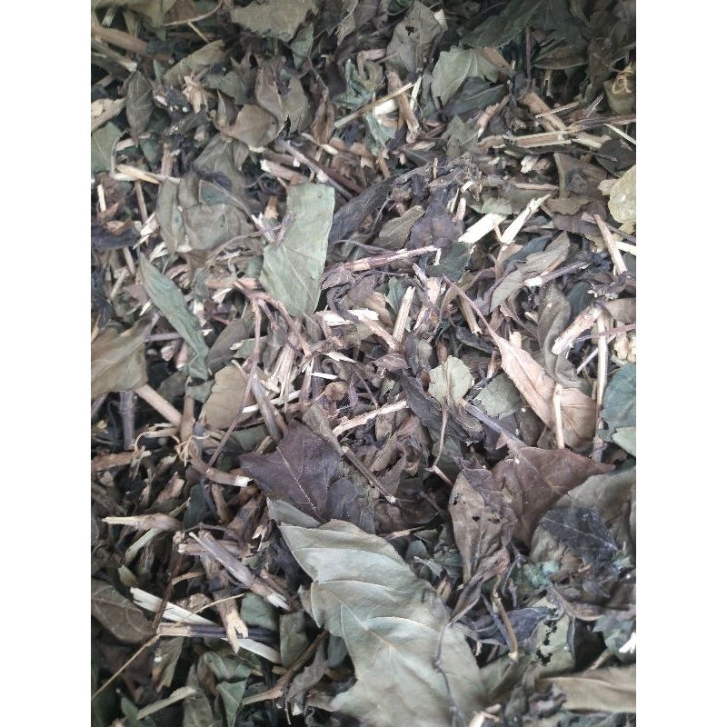 南非葉 扁桃斑鳩菊(乾品葉含細梗,一斤250元,自然農法種植)
