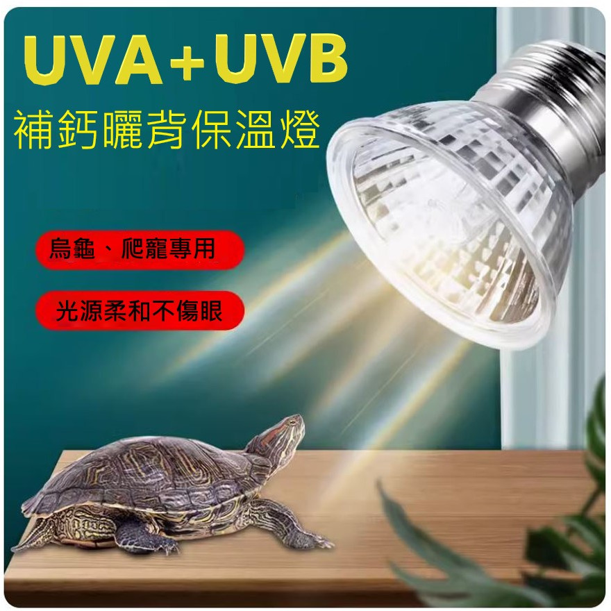 全光譜【UVA UVB3.0 燈泡 】曬背燈、爬蟲燈 烏龜 曬背燈、爬蟲加熱燈、陸龜燈、曬背燈、寵物 保暖 保溫燈泡