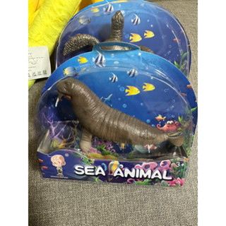 海洋公園 海洋生物 模擬模型玩具 模型 海洋 10-13公分左右 盒裝