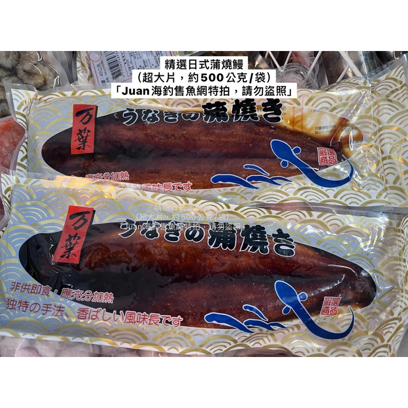 「精選」日式醬燒超大片蒲燒鰻魚