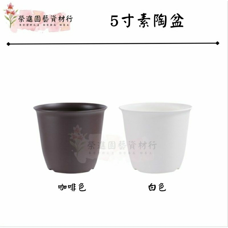 5寸素陶盆 觀葉植物愛用款 材質：塑膠 顏色多款 【榮進園藝資材】