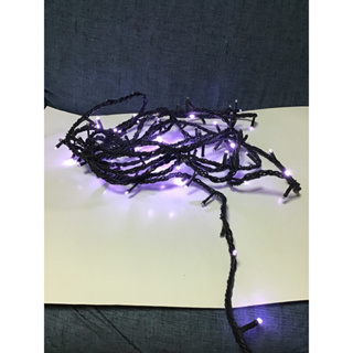 LED100燈白色樹燈+IC(室內使用燈串)-聖誕燈串 樹燈 裝飾燈