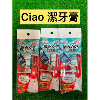 🔥現貨供應🔥Ciao 貓咪潔牙膏 牙膏 清潔用品 貓咪用品 潔牙用品