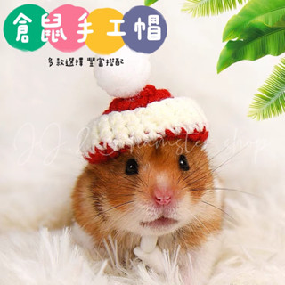 ⚡️現貨⚡️倉鼠帽子 倉鼠手工針織帽 倉鼠拍照道具 倉鼠玩具 小動物帽子 黃金鼠三線鼠花枝鼠鸚鵡蜜袋鼯天竺鼠