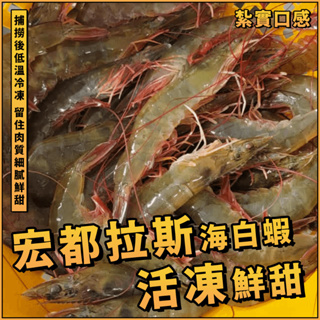 【潮鮮世代】宏都拉斯 Choice Shrimp 活凍白蝦／40/50 1.15kg/盒／宏都拉斯白蝦／活凍鮮甜白蝦
