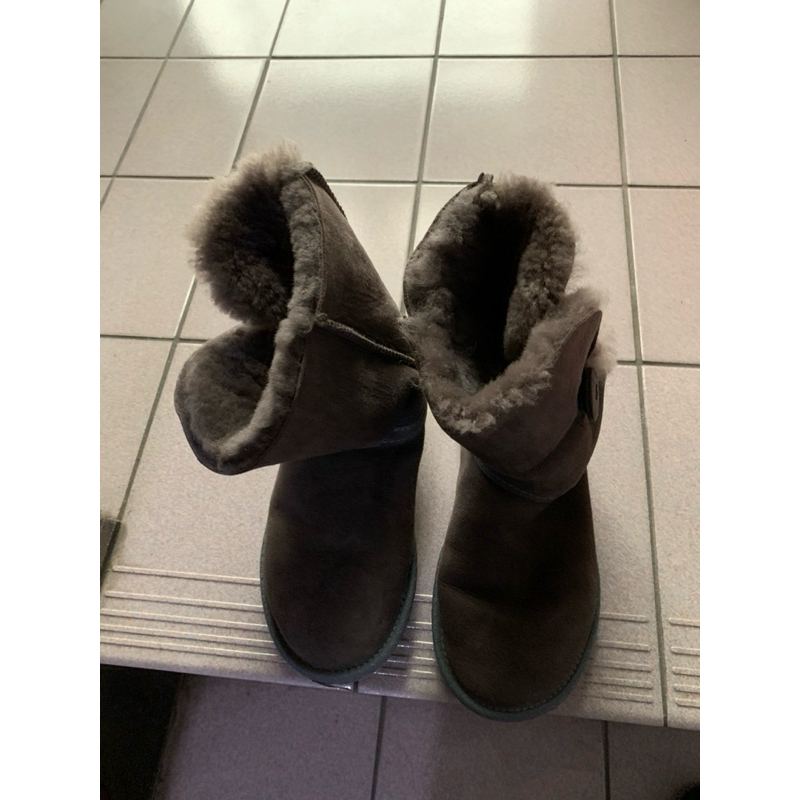 澳洲 ugg 短筒雪靴 ⭐️灰色
