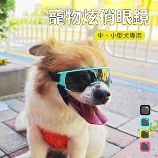 艾爾發寵物 | 中小型犬專用 寵物炫俏眼鏡 寵物眼睛防護 寵物護目鏡