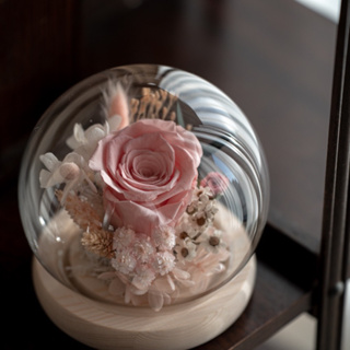 Yuans Flower粉嫩玫瑰小夜燈🌹乾燥花/永生花玻璃罩