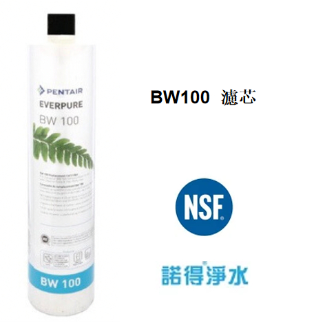 [折扣碼現折300]荷蘭諾得淨水器濾心－Everpure BW100  濾芯 抑垢 @有現貨@ 公司貨