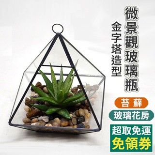 【免運X草葉日和】金字塔 生態瓶 微景觀 生態缸 園藝 苔蘚生態瓶 造景 水族造景 多肉植物 空氣鳳梨 玻璃花瓶