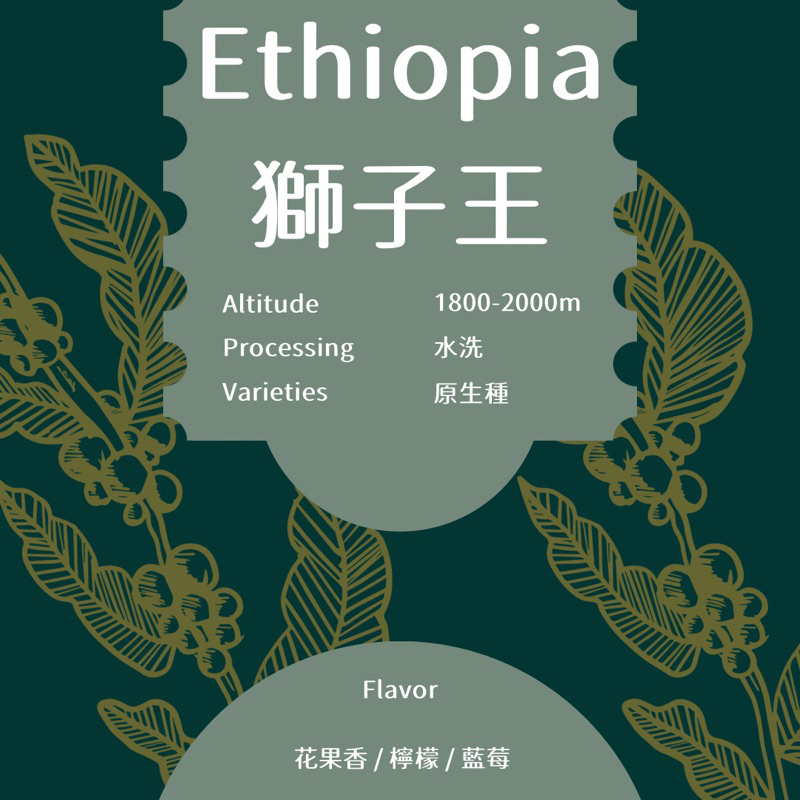 宥豆國際咖啡生豆｜衣索比亞 西達摩 獅子王 水洗 生豆500克
