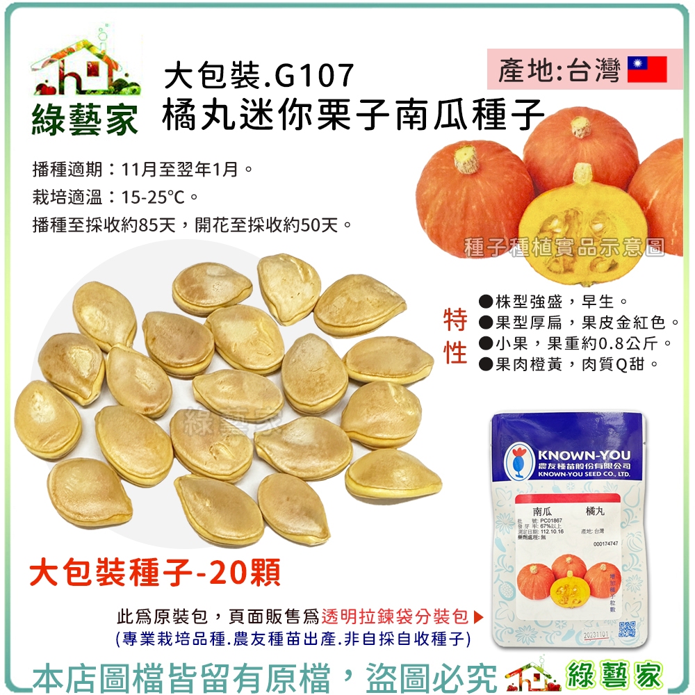 【綠藝家】大包裝G107.橘丸迷你栗子南瓜種子20顆 貝貝南瓜 株型強盛，早生。西洋南瓜