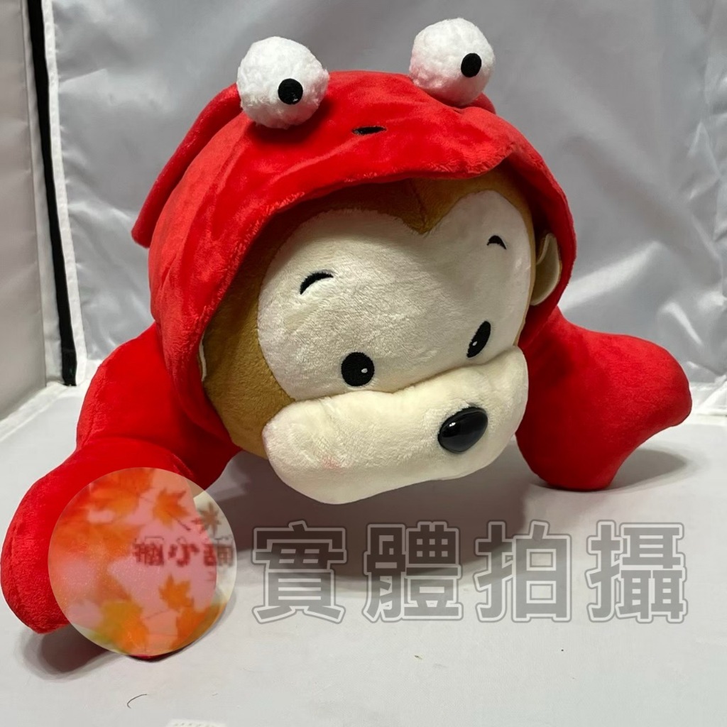 【楓小舖】正版 12吋 龍蝦猴娃娃 蝦猴寶寶 猴子娃娃 公仔 玩偶