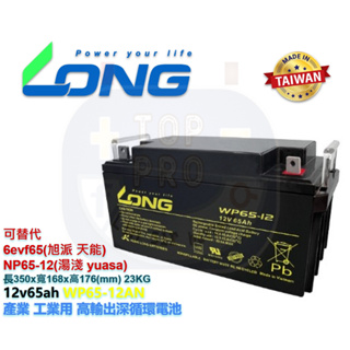 WP65-12廣隆LONG可替代YUASA湯淺電池 NP65-12 EVX12650 UPS不斷電系統 太陽能電池