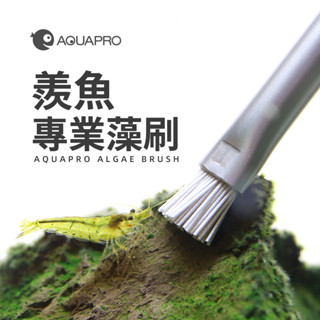 《林作物》現貨/含發票 羨魚 精品 不鏽鋼藻刷【硬景藻類鋼刷】ADA同款 除藻刷 青苔刷 魚缸清潔刷 藻刷 綠斑藻 除藻