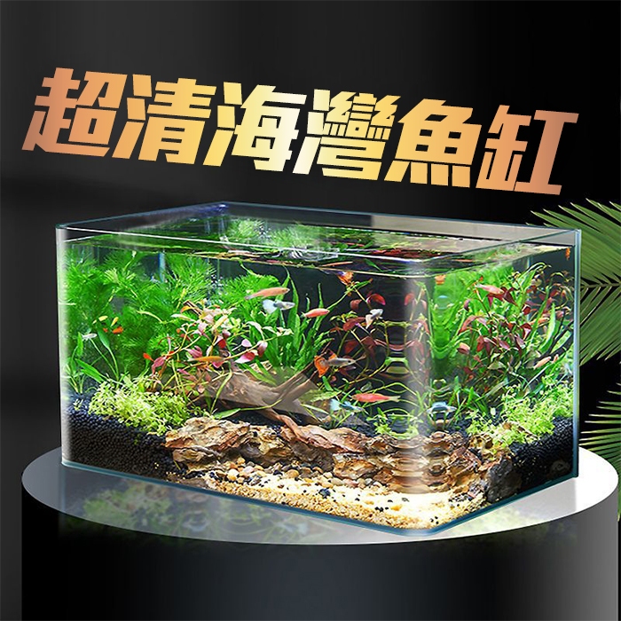 海灣型水族箱 超白魚缸 生態魚缸 金魚缸 海水缸 淡水缸 開放缸 孔雀魚 水草缸 烏龜缸