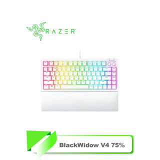 【TN STAR】Razer 雷蛇 BlackWidow V4 75% 黑寡婦V4 黑色 白色 熱插拔機械鍵盤 橘軸