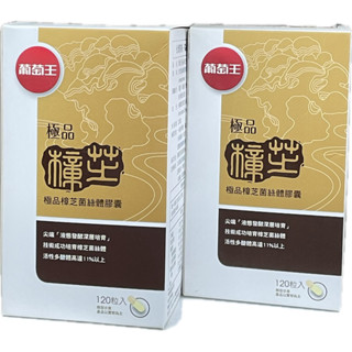 葡萄王極品樟芝菌絲體膠囊❤️❤️