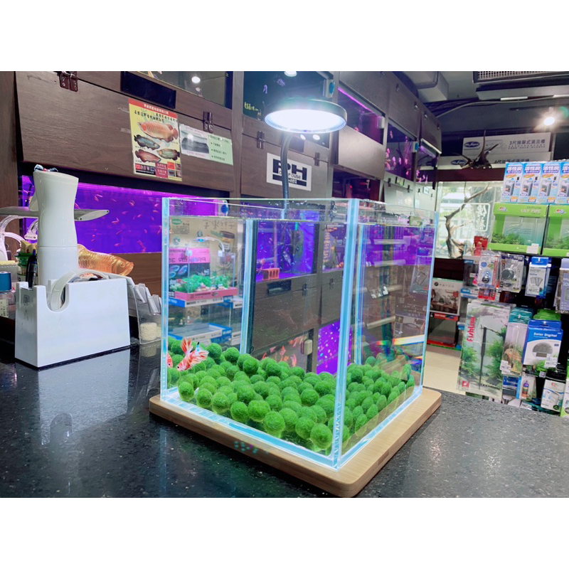 《傳奇水族》免運❗️🐬欣茂 SHINMAO 20cm立方超白魚缸+觸碰式水草燈組+竹板 套缸組 適用 微景觀 多肉 植物