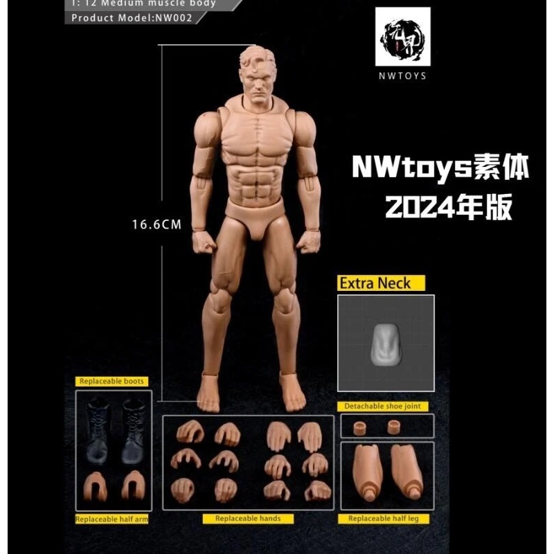 【杯麵宅品】第三季預購!  Nwtoys 1/12 超可動男素體 24年版 2版