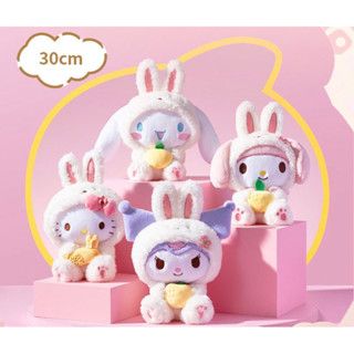 【沁的娃娃屋】❤️特價出清❤️現貨秒出❤️正版授權三麗鷗變裝兔兔羊羔毛娃娃 擺飾 大耳狗 庫洛米 美樂蒂 KT