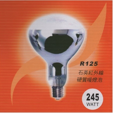 HUSKY 哈適奇 GH-288 多功能 浴室 乾燥 暖風機 五合一 專用 R125 石英 紅外線 硬質 暖燈泡245W