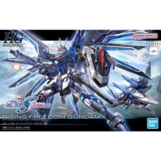 (大鳥叔叔模型)BANDAI HG 243 1/144 振揚自由鋼彈 鋼彈SEED