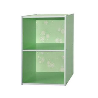 SA-1200-GR 《COLOR BOX》二格收納櫃 -自然綠 特價 空櫃 書櫃 收納櫃