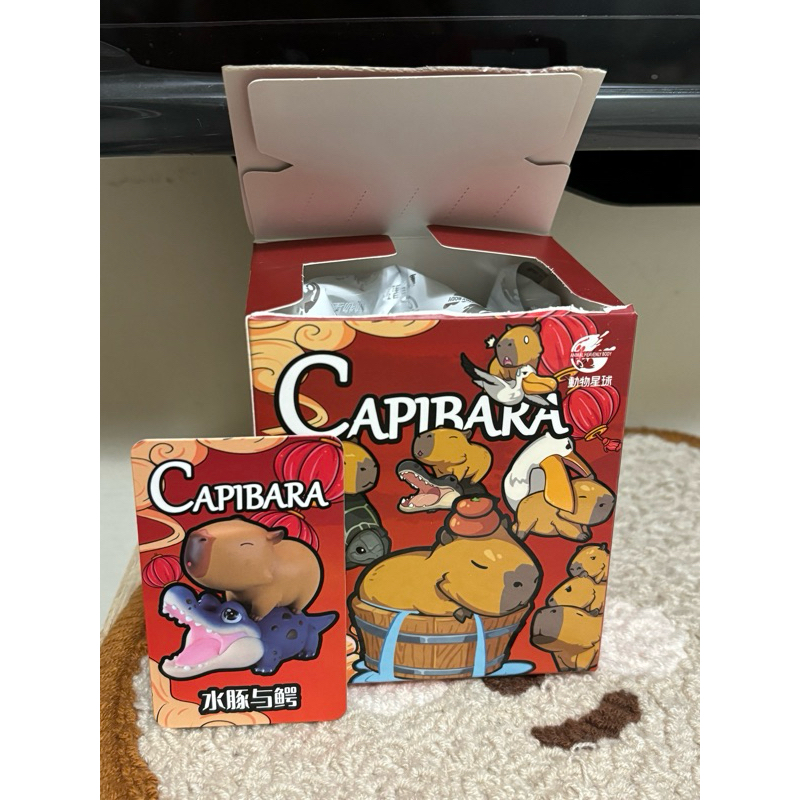 動物星球 卡皮巴拉 水豚 水豚與鱷 盲盒 盒玩 公仔