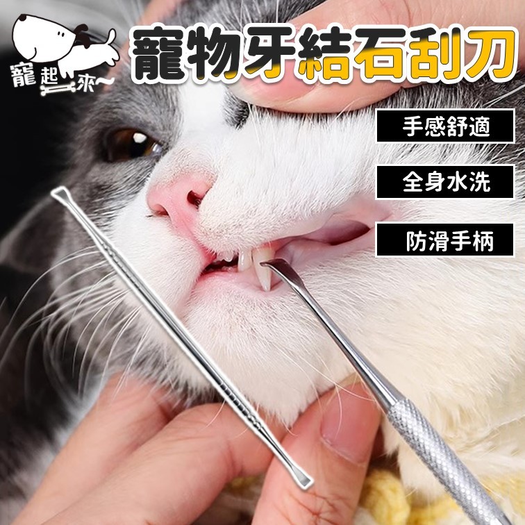 [台灣出貨] 牙結石刮刀 寵物牙結石刮刀 牙結石刮除器 刮刀 304不鏽鋼